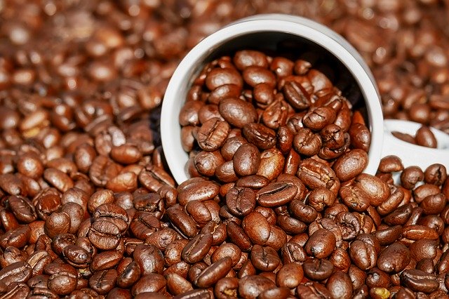 cup sitting in pile of coffee beans