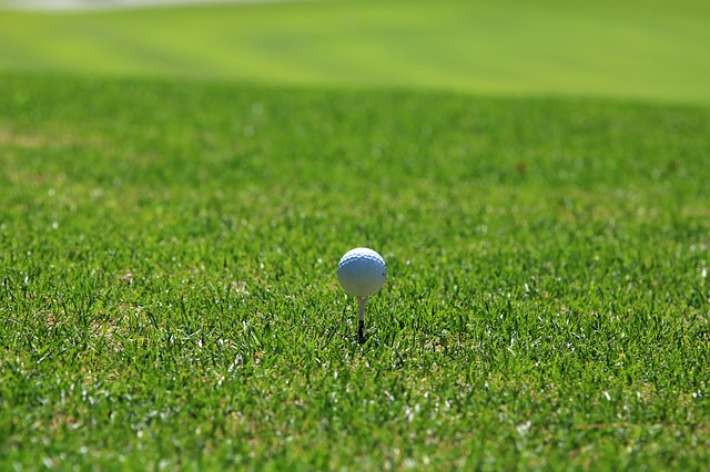 golf ball on tee in grass