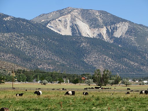 View of Slide Mountain from Washoe Valley