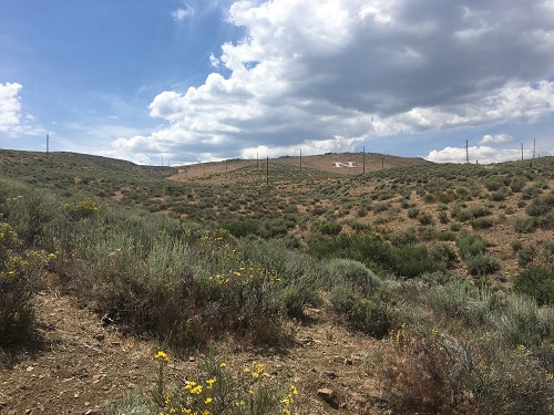 Peavine Peak seen from Rancho  San Rafael Park