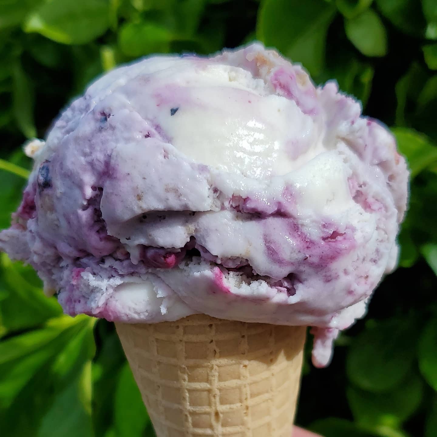 close up of cone with large scoop of ice cream