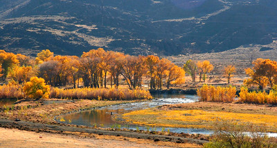 truckee river in fall