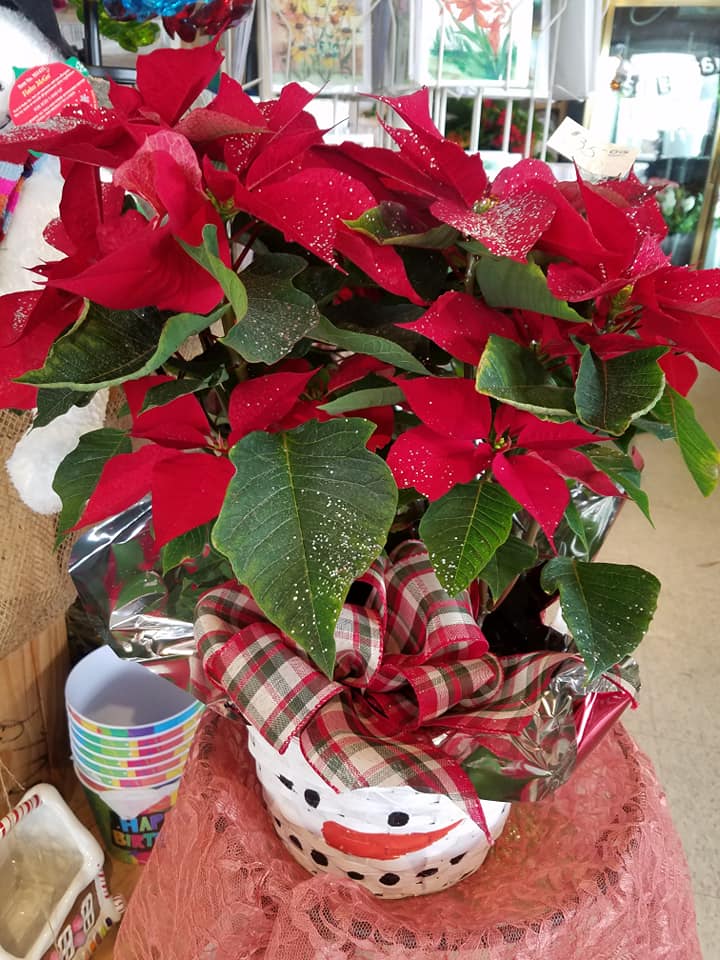 poinsettia gift basket