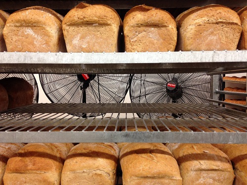 loaves of bread cooling on racks