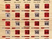 Carson City Senior Center, Thursday Afternoon Bingo