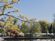 Reno-Sparks Events, Riverside Farmers Market