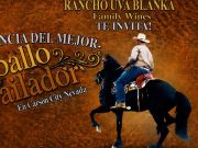 Carson City Events, Caballo Bailador (Horse Dancing)