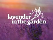 May Arboretum Society, Lavender in the Garden
