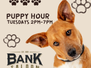 Bank Saloon, Puppy Hour