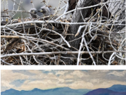 Nevada Artists Association, Reception for Featured Artists Wendy Whyman and Tommy Tucker