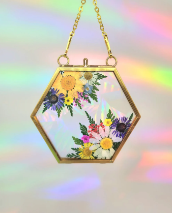 Wandering Wyld, Pressed Flower Sun Catchers Workshop