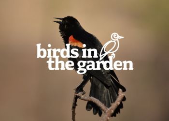May Arboretum Society, Birds in the Garden