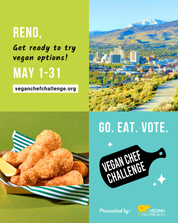 Reno-Sparks Events, Reno Vegan Chef Challenge