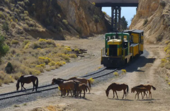 Virginia & Truckee Railroad, Comstock Train Route
