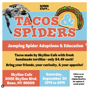 Spider Stuff Co, Tacos & Spiders at Skyline Cafe! 3-6pm, Sat 9/20