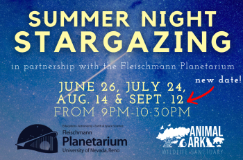 Animal Ark Wildlife Sanctuary, Summer Stargazing