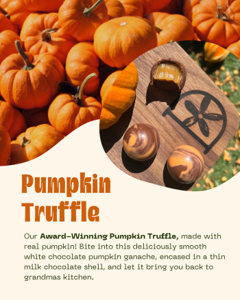 Dorinda's Chocolates, Pumpkin Truffle