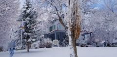 Carson City Chamber of Commerce photo