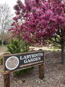 May Arboretum Society photo