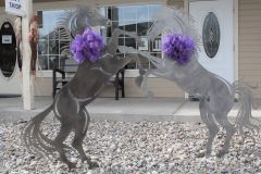 Carson City Chamber of Commerce photo