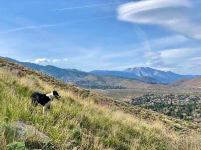 Visit Carson City photo
