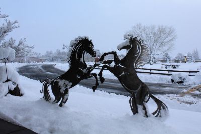 Carson City Chamber of Commerce photo