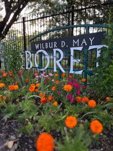 May Arboretum Society photo