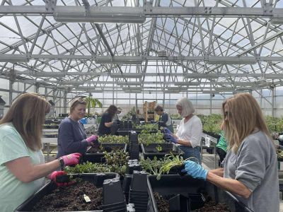 May Arboretum Society photo