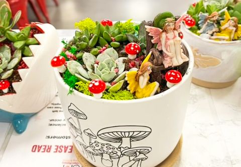 All Fired Up at The Hot Spot, Gnome & Fairy Gardens