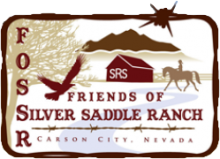 Silver Saddle Ranch