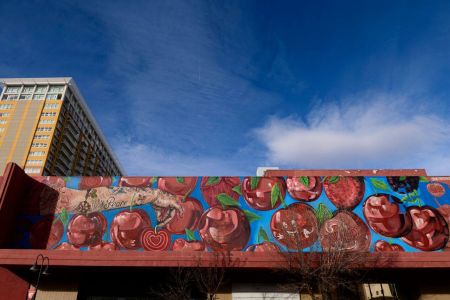 Reno-Sparks Events, Downtown Reno Mural/Public Art Tour