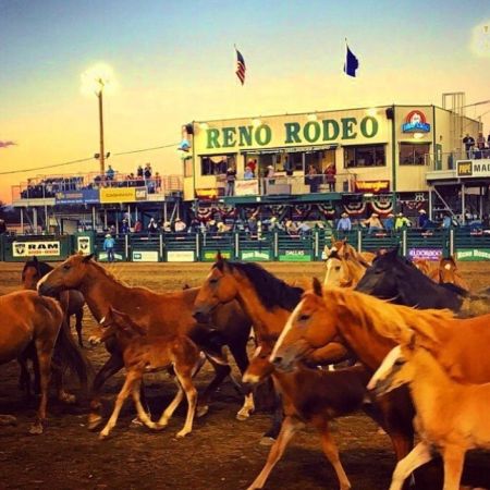 Reno Rodeo, Reno Rodeo Wrangler Gold Tour