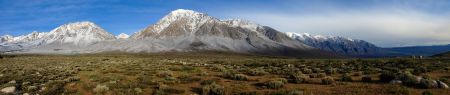 Reno-Sparks Events, Edible & Medicinal Plants of the Great Basin Desert: Reno Area