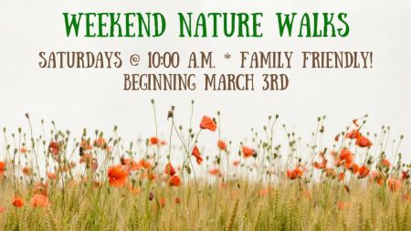 Wilbur D. May Museum, Weekend Nature Walk