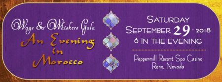 Peppermill Resort, Casino, The Wags & Whiskers Gala, An Evening in Morocco