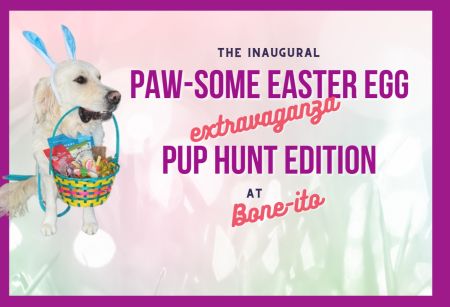 Noah's Animal House, PAW-some Easter Egg Extravaganza