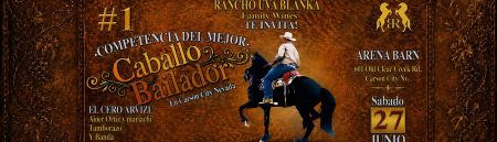 Carson City Events, Caballo Bailador (Horse Dancing)