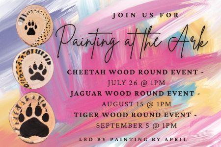 Animal Ark Wildlife Sanctuary, Painting at the Ark