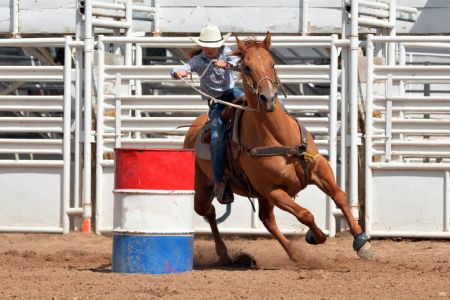 Reno-Sparks Livestock Events Center, Reno Rodeo