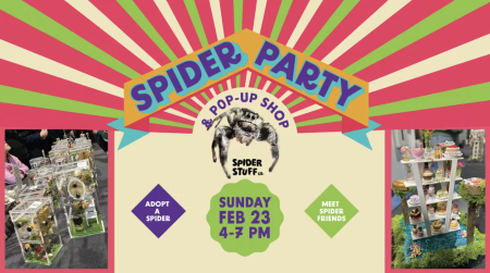 Schussboom Brewing Co., Spider Party & Pop-Up Shop