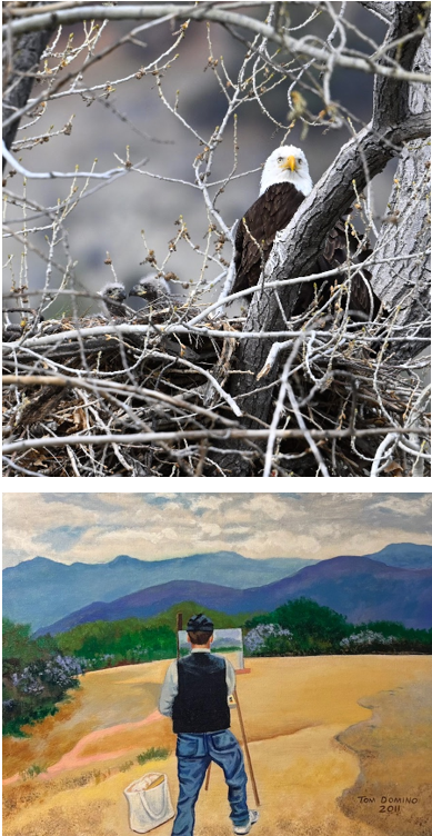 Nevada Artists Association, Featured Artists Shows