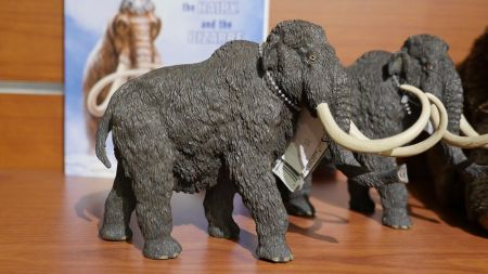 Wilbur D. May Center, Safari Ltd. Woolly Mammoth Toy