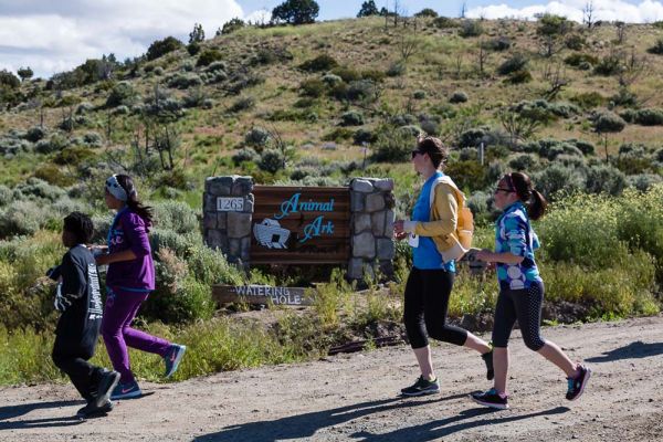 Animal Ark Stampede | Animal Ark Wildlife Sanctuary | Nevada Events Animal Ark Stampede | Animal Ark Wildlife Sanctuary | Nevada Events